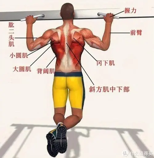 九游娱乐：网球拍击打果冻怎么放